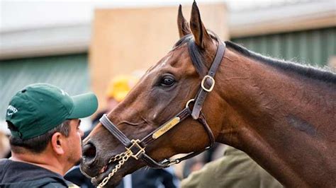 list of preakness winners|Preakness Stakes Winners & Past Results .